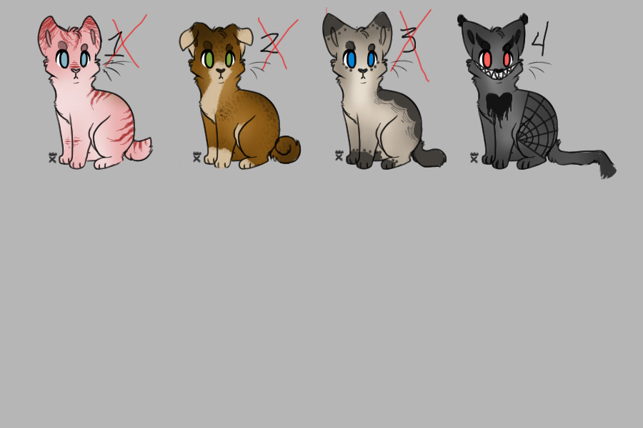 kitty adopts - 4 available