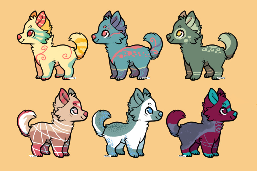 First Adopts - ALL SOLD!