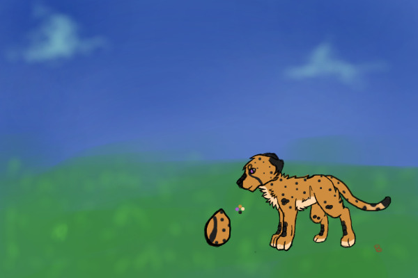 Cheetah Growth