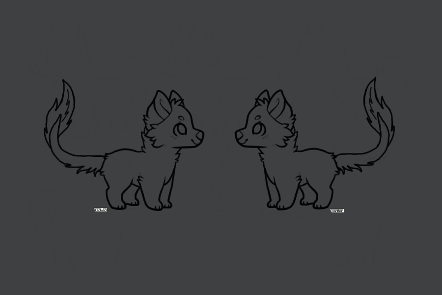 Lion Tail Pups