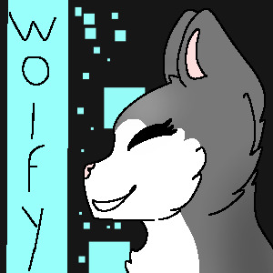 Avatar for Wolfy858