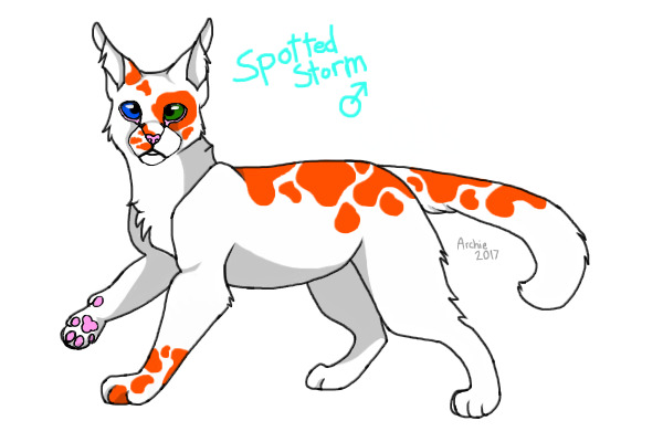 Spottedstorm