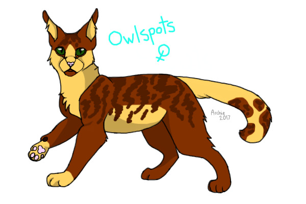 Owlspots