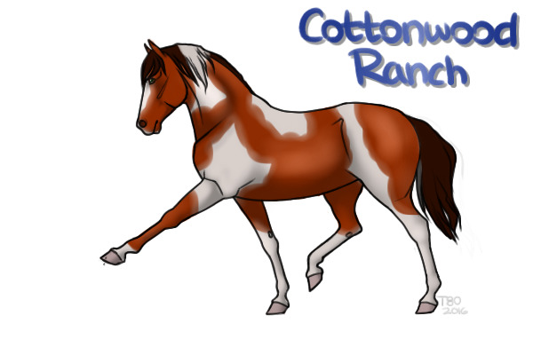 CWHR Forest Mare