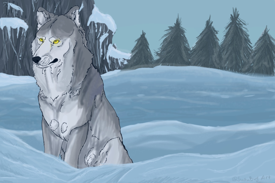 "Wolf in snow"