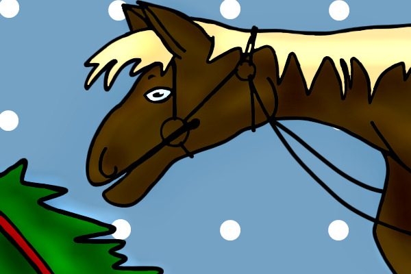 contest entry