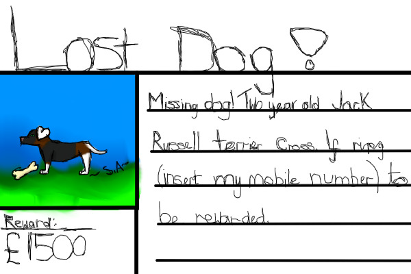 POH-Lost dog poster