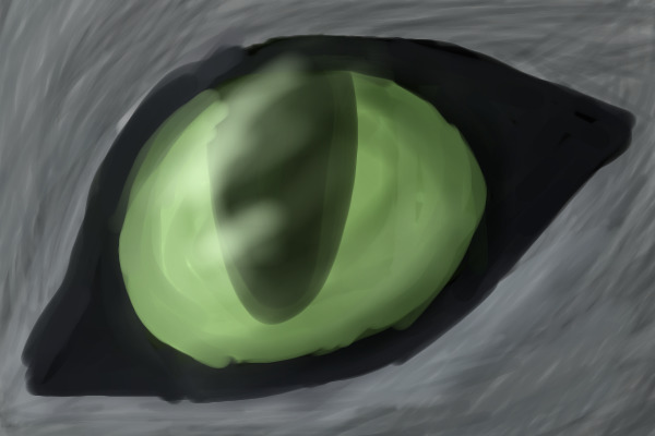 A cat's eyeball??
