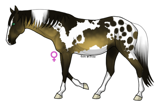 QHR Breeding for Isabella45