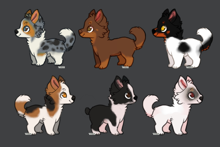 Guess That Doggo! (SMALL breed version!)