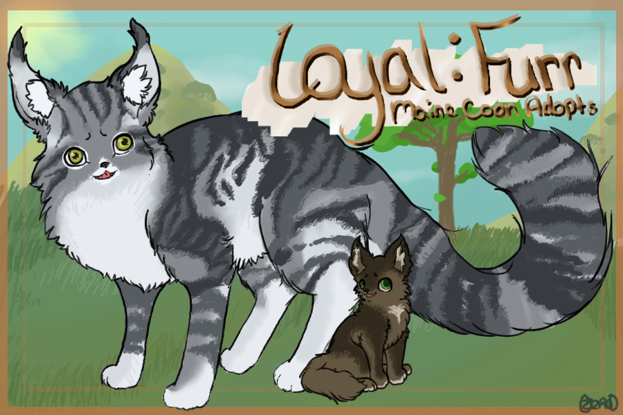 Loyal Furr : Maine Coon Adopts V.2 [Looking for Staff]