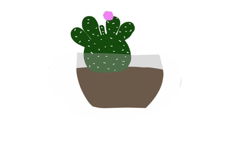 henrietta the cactus
