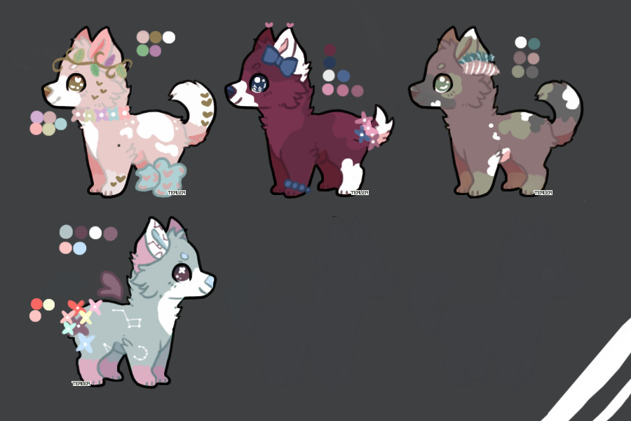 Pups for sale! #2