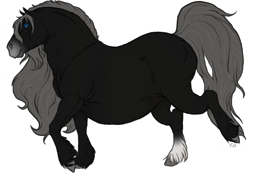 Reamhar Draught Horse