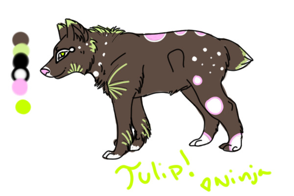 Tulip