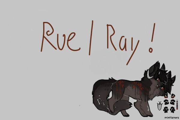rue n' ray