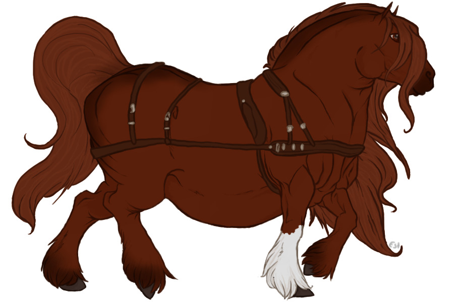 #001 Reamhar Draught Horse
