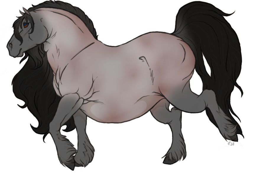 #002 Reamhar Draught Horse