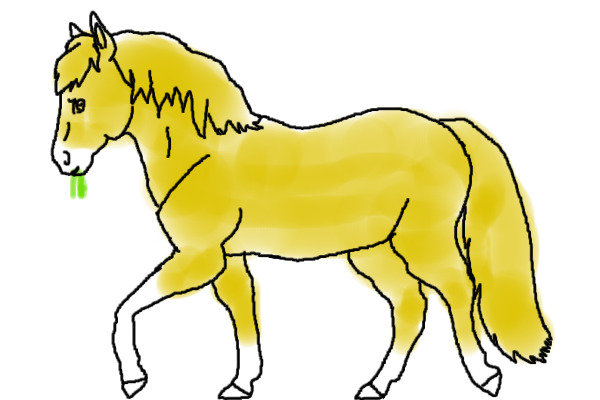 Palomino pony