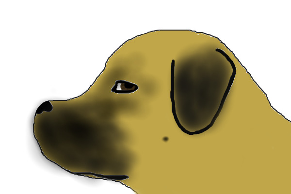 Mastiff