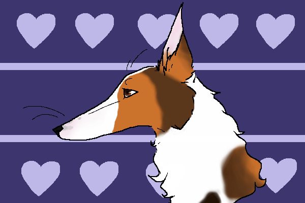 Borzoi // Russian Wolfhound