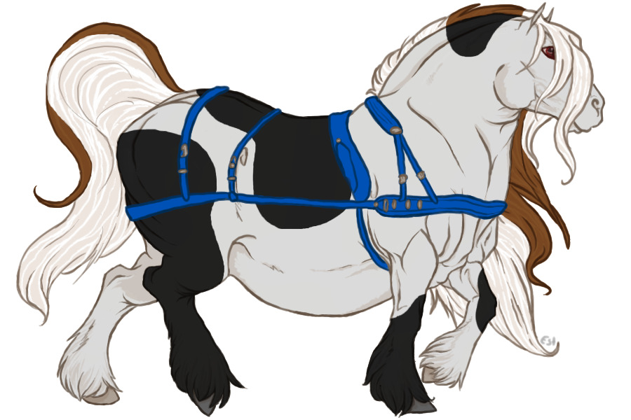 #003 Reamhar Draught Horse
