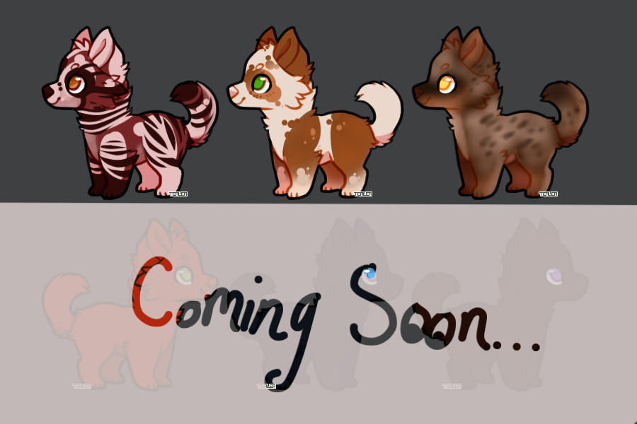 Adopts for DA points