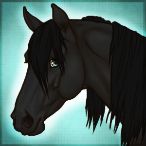 Koal Icon