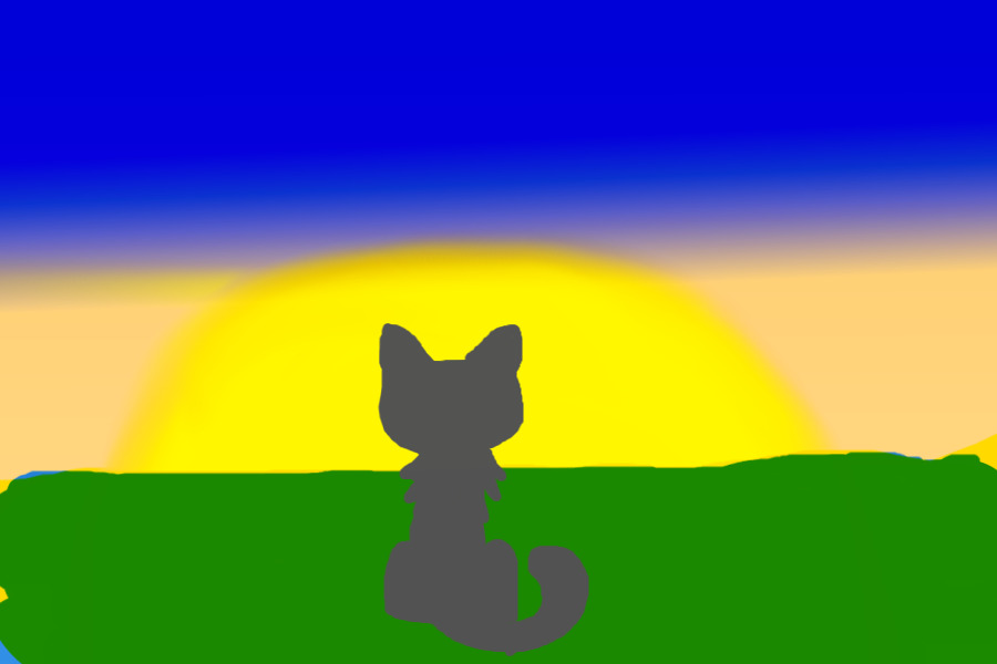 Cat In The Sunset