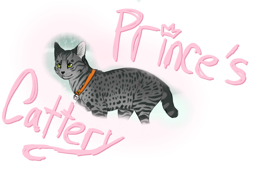 *Prince's Cattery* .::[Natural cat adopts]::.