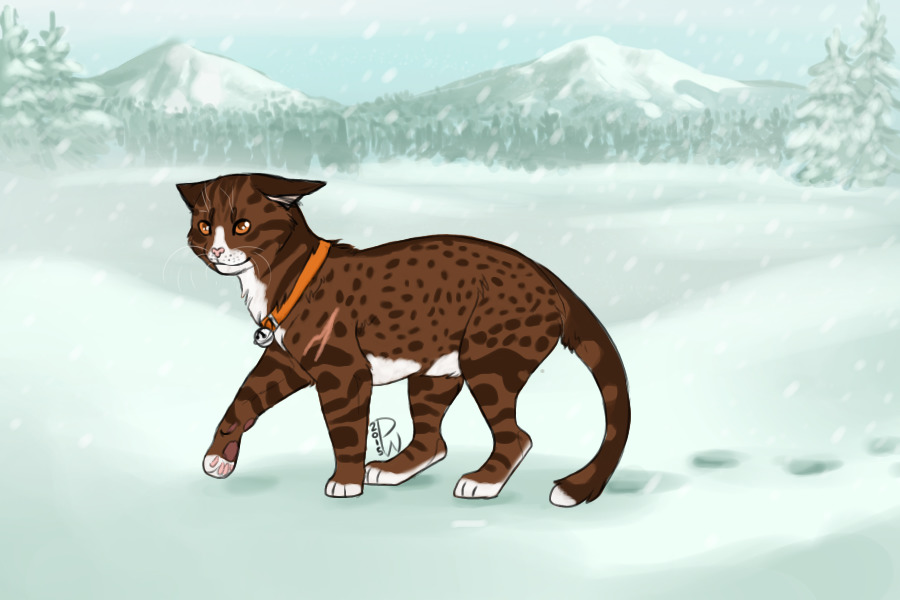 Cinnamon Spotted Tabby! .::Closed::.