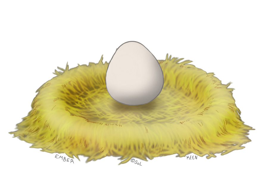 1 Egg