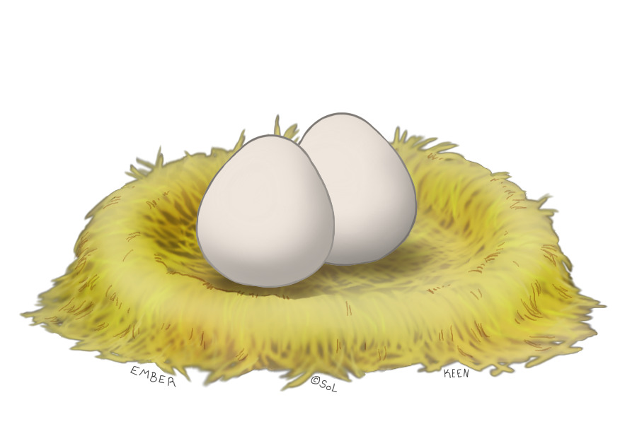 2 Eggs