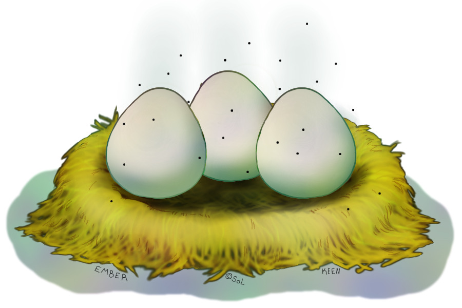 Abandoned Nest - 3 Eggs
