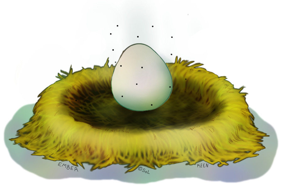 Abandoned Nest - 1 Egg