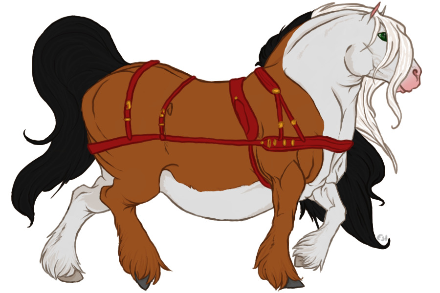 #004 Reamhar Draught Horse