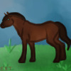 Editable Pony Avatar