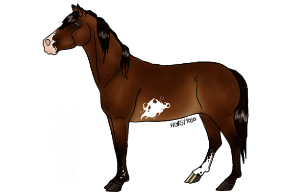 horsey