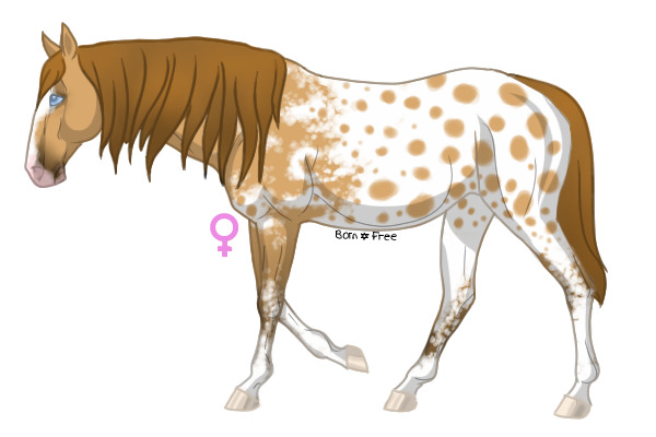 Breeding for Isabella45