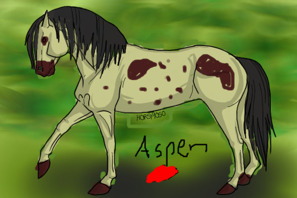 Aspen the horse