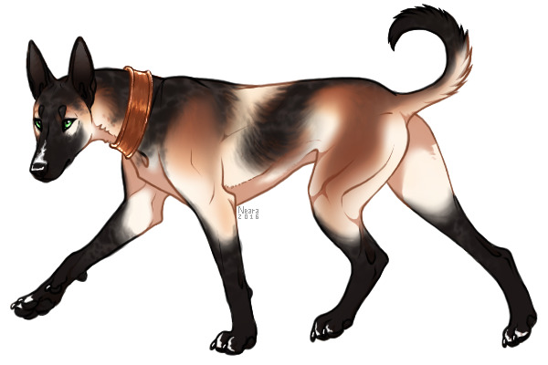 Hissan Breeding #4