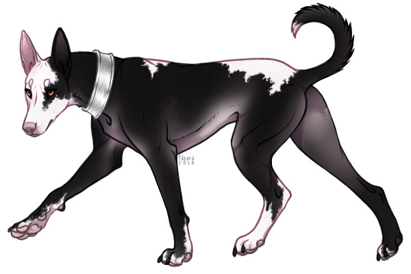 Hissan Breeding #5