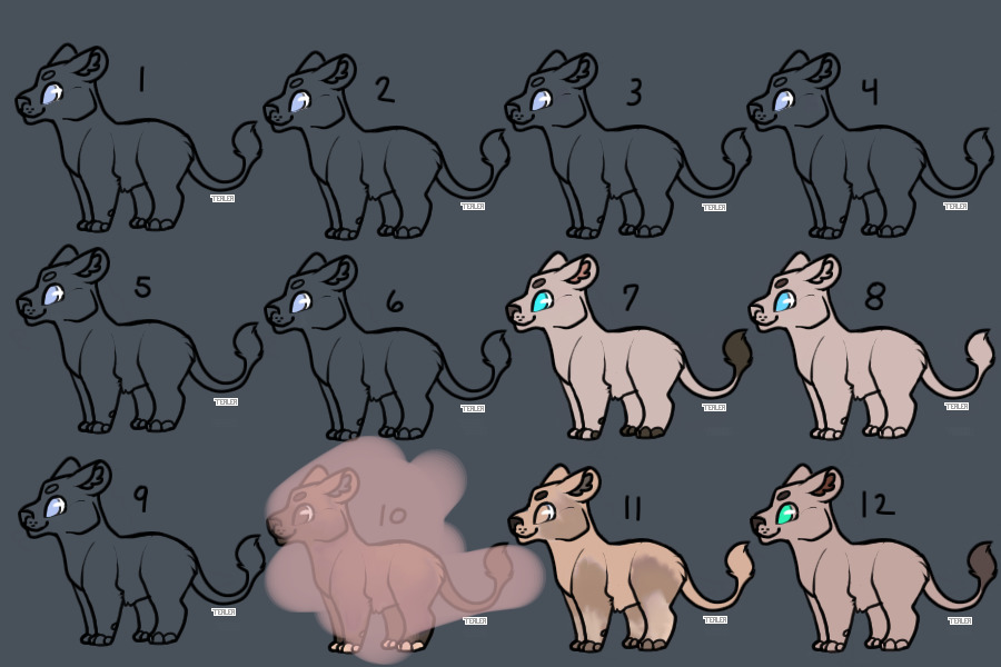 Lion Adopts for sale