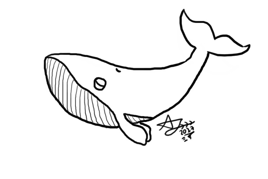 I drew a whale