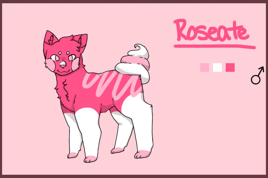 Roseate - Male - Cream Kitty #4