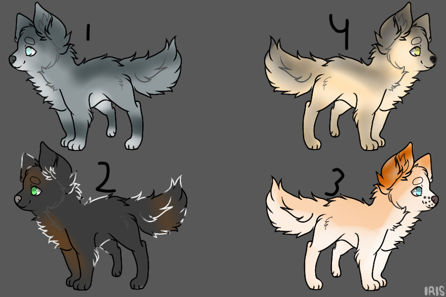 Pup Adoptables (Closed)