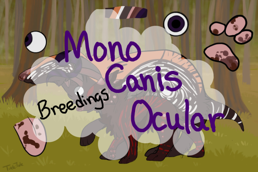 Mono Canis Ocular - Adopts - Nursery