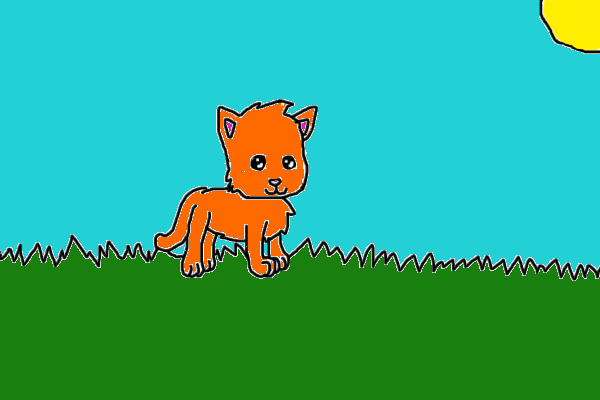 Orange Cat!