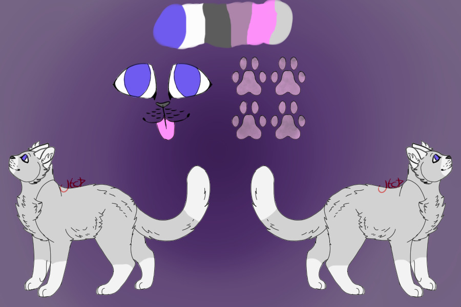 [COLOURED IN] Cat Reference Sheet