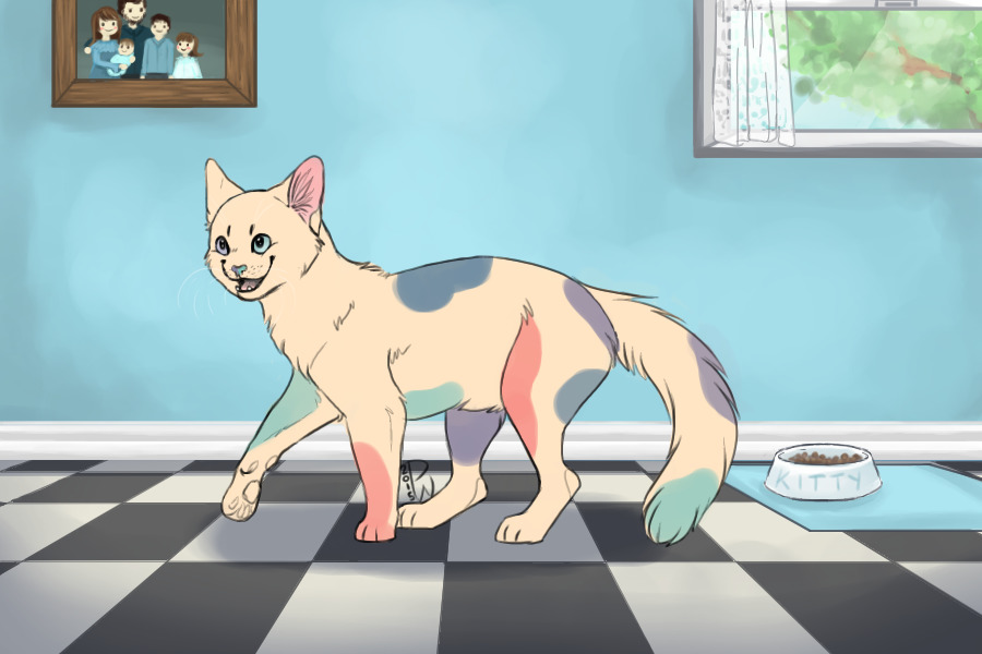 Mystery Roonz Cat Giveaway